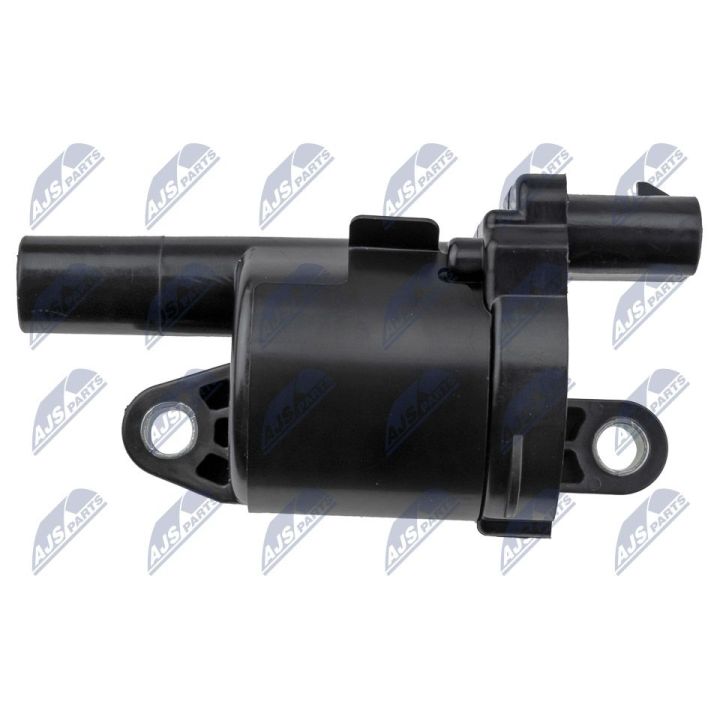 Ritė, uždegimas NTY ECZ-CH-036