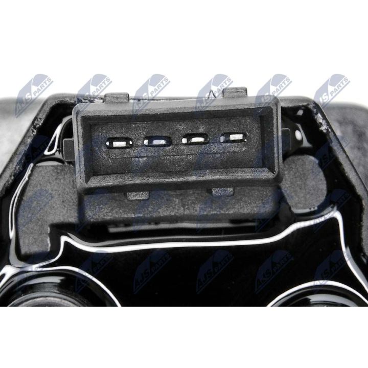 Ritė, uždegimas NTY ECZ-CT-001