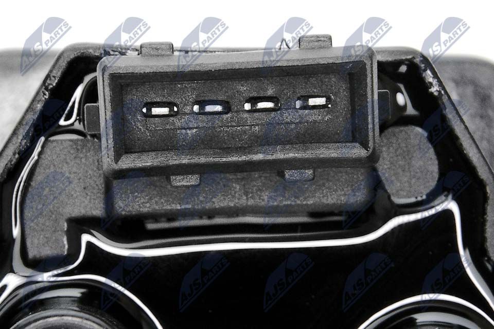 Ritė, uždegimas NTY ECZ-CT-001