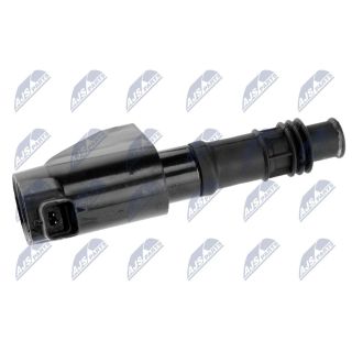 Ritė, uždegimas NTY ECZ-CT-004