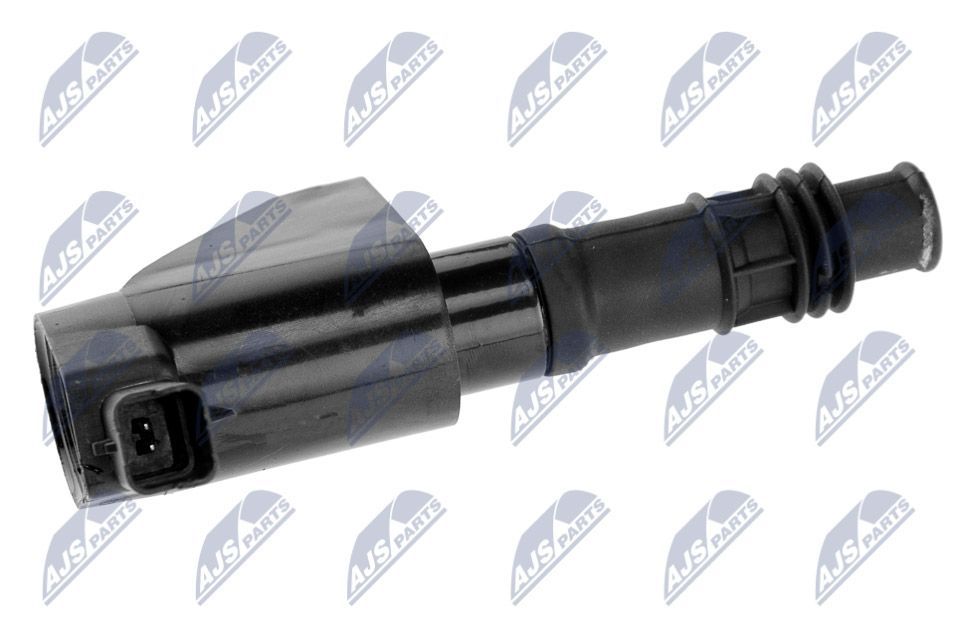 Ritė, uždegimas NTY ECZ-CT-004