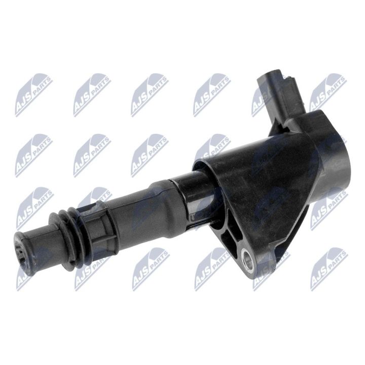 Ritė, uždegimas NTY ECZ-CT-004