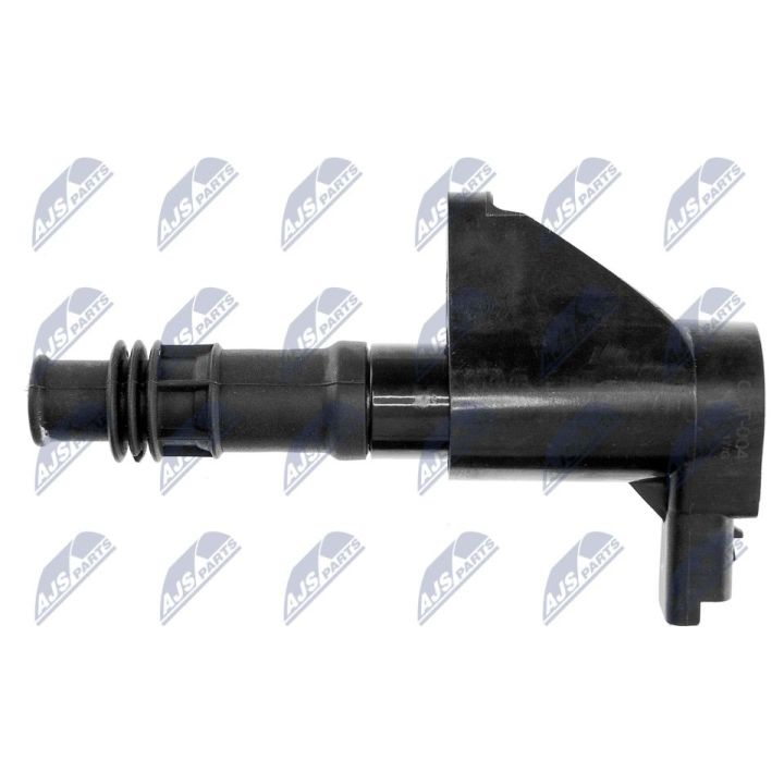 Ritė, uždegimas NTY ECZ-CT-004