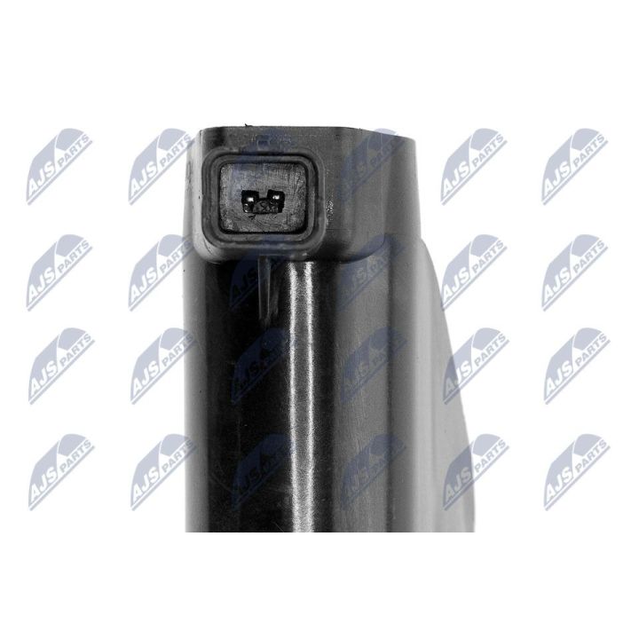 Ritė, uždegimas NTY ECZ-CT-004