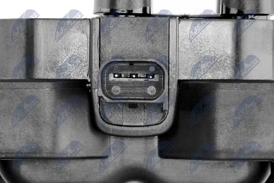 Ritė, uždegimas NTY ECZ-FR-001