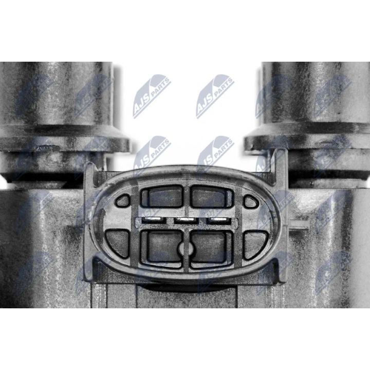 Ritė, uždegimas NTY ECZ-FR-003