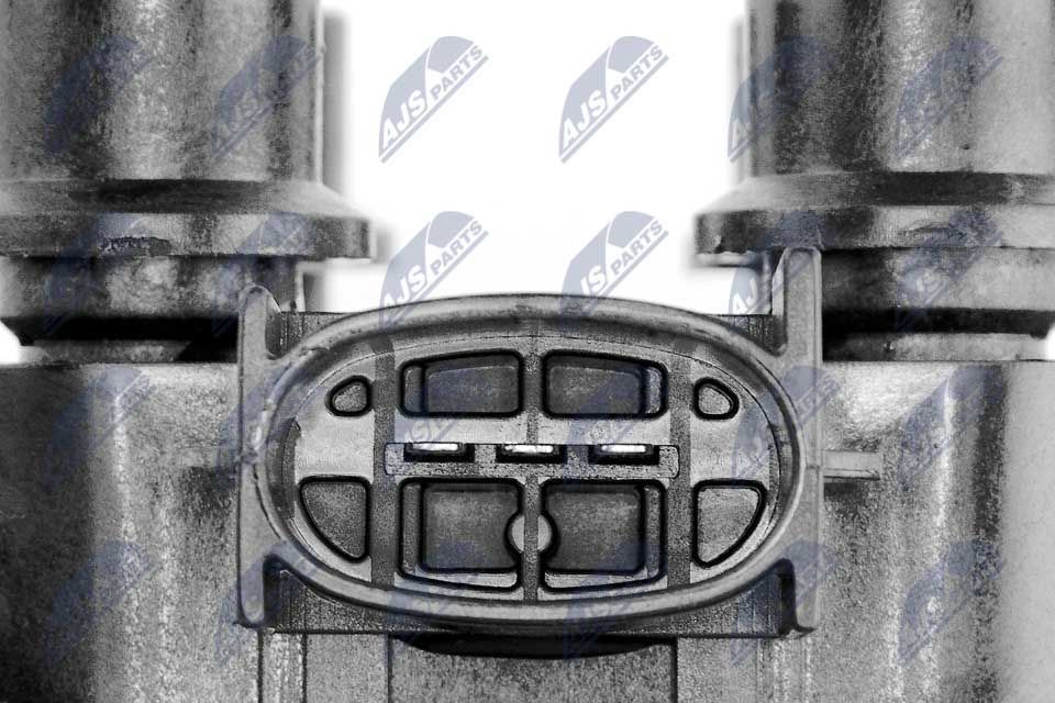 Ritė, uždegimas NTY ECZ-FR-003