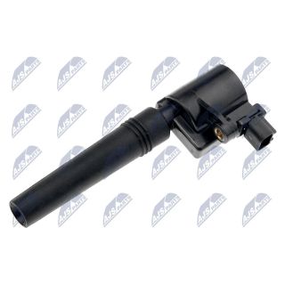 Ritė, uždegimas NTY ECZ-FR-029