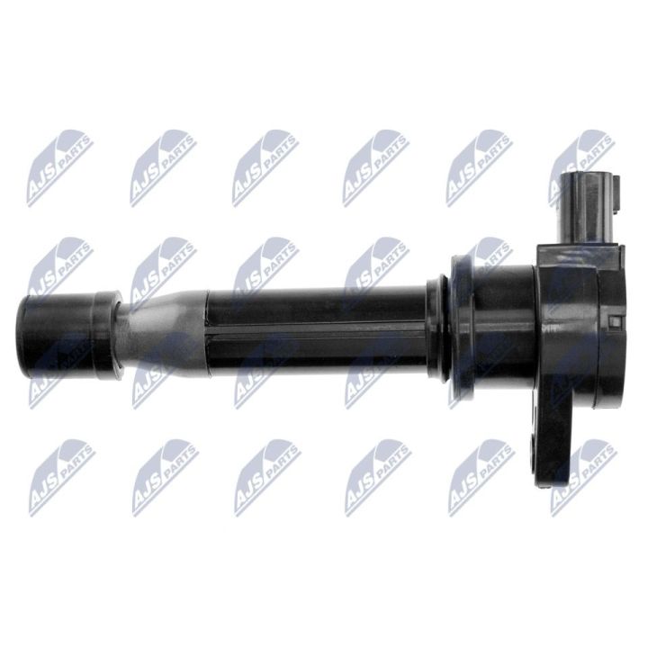 Ritė, uždegimas NTY ECZ-FT-002