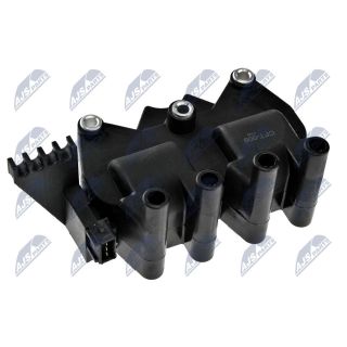 Ritė, uždegimas NTY ECZ-FT-008