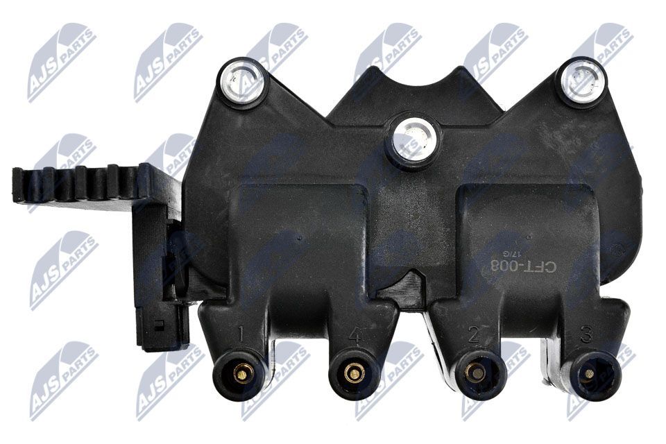 Ritė, uždegimas NTY ECZ-FT-008