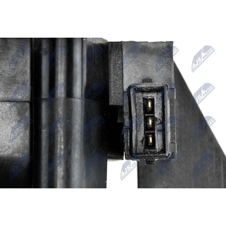 Ritė, uždegimas NTY ECZ-FT-008