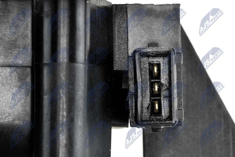 Ritė, uždegimas NTY ECZ-FT-008