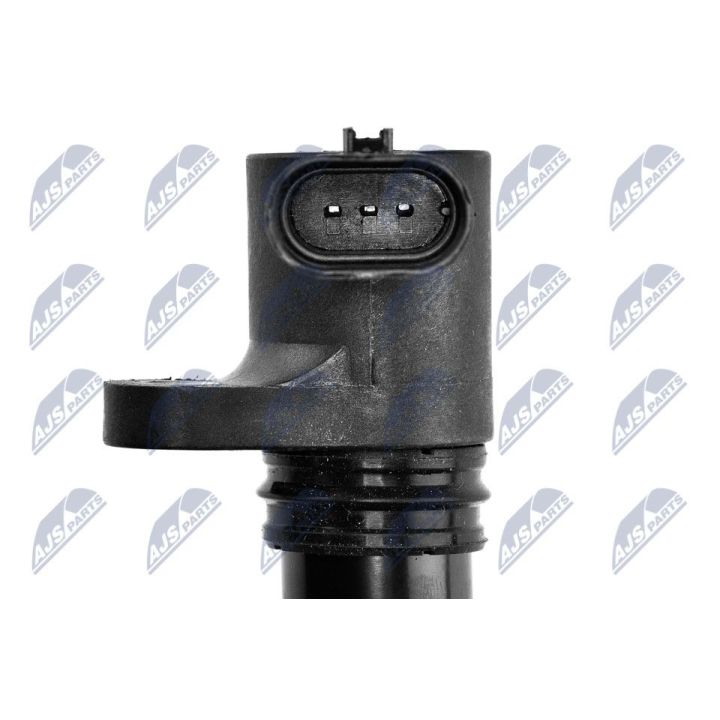 Ritė, uždegimas NTY ECZ-FT-011