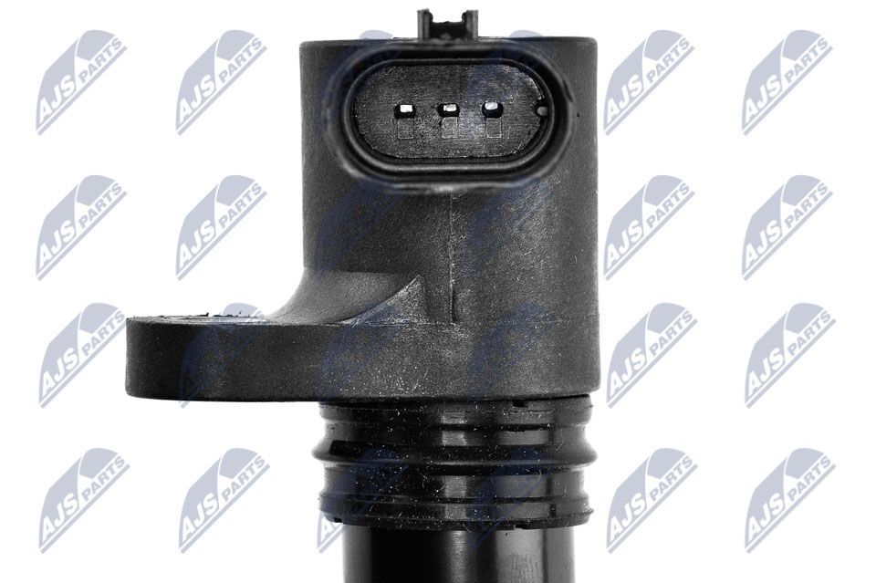 Ritė, uždegimas NTY ECZ-FT-011