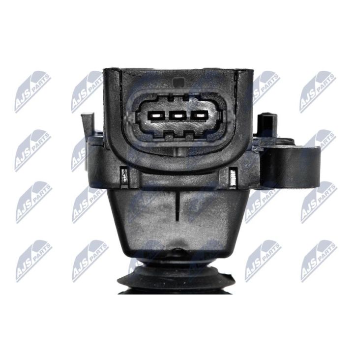 Ritė, uždegimas NTY ECZ-FT-012