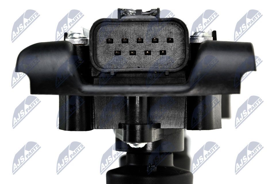 Ritė, uždegimas NTY ECZ-FT-015