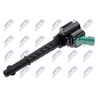 Ritė, uždegimas NTY ECZ-FT-019