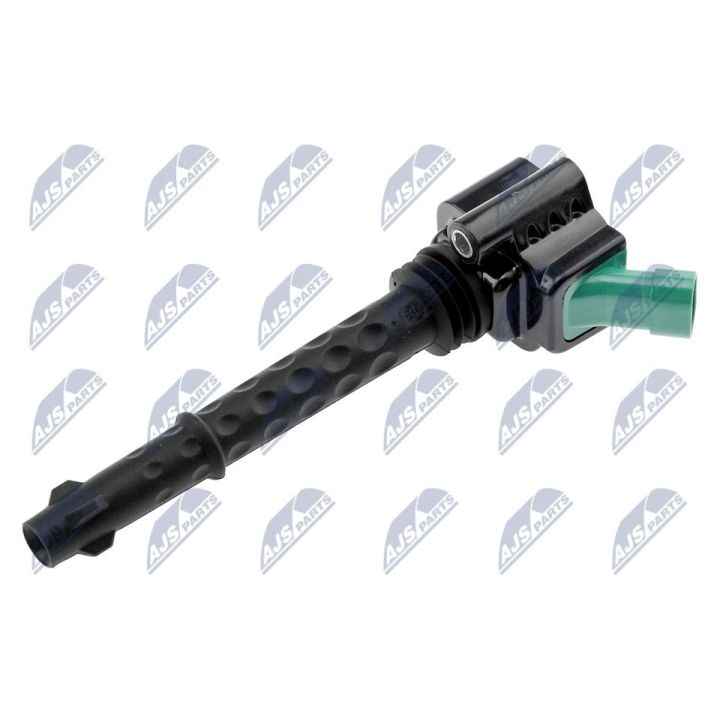 Ritė, uždegimas NTY ECZ-FT-019