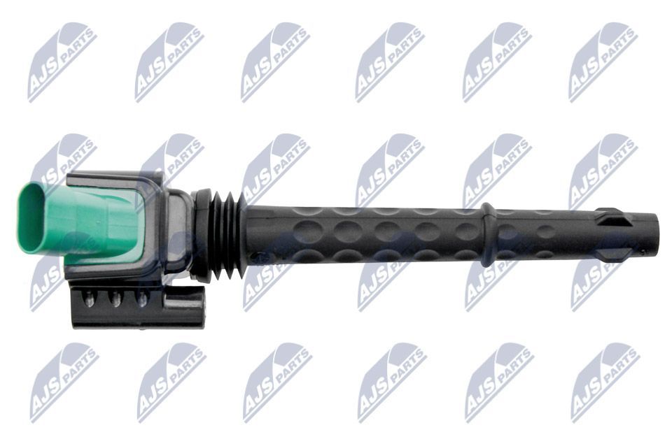 Ritė, uždegimas NTY ECZ-FT-019