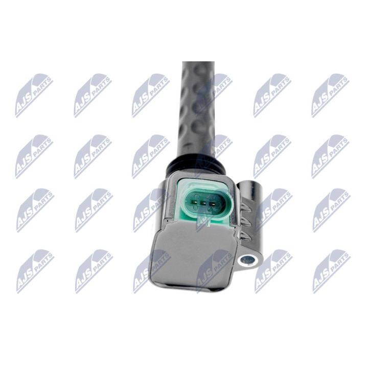 Ritė, uždegimas NTY ECZ-FT-019