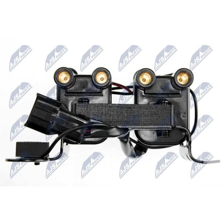 Ritė, uždegimas NTY ECZ-HY-500