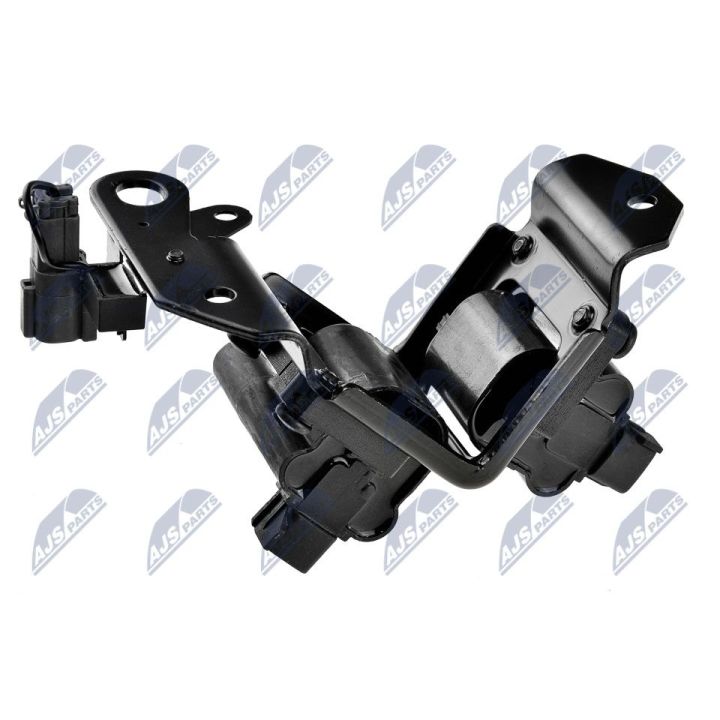 Ritė, uždegimas NTY ECZ-HY-501