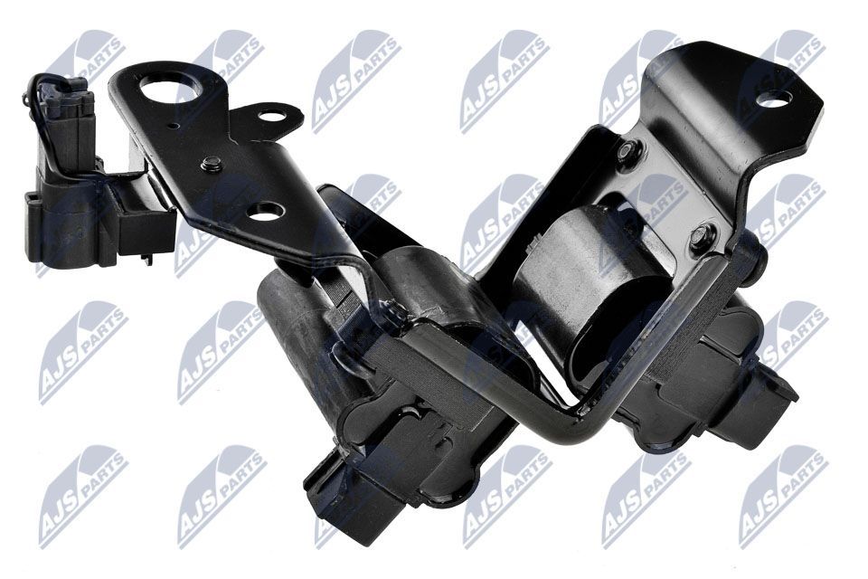 Ritė, uždegimas NTY ECZ-HY-501