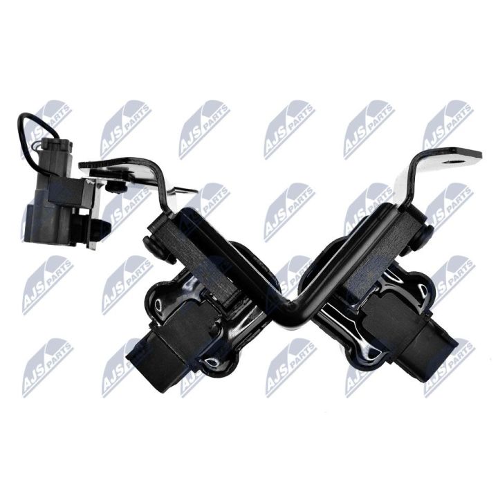 Ritė, uždegimas NTY ECZ-HY-501