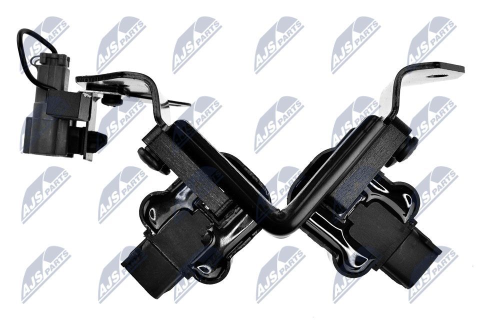 Ritė, uždegimas NTY ECZ-HY-501