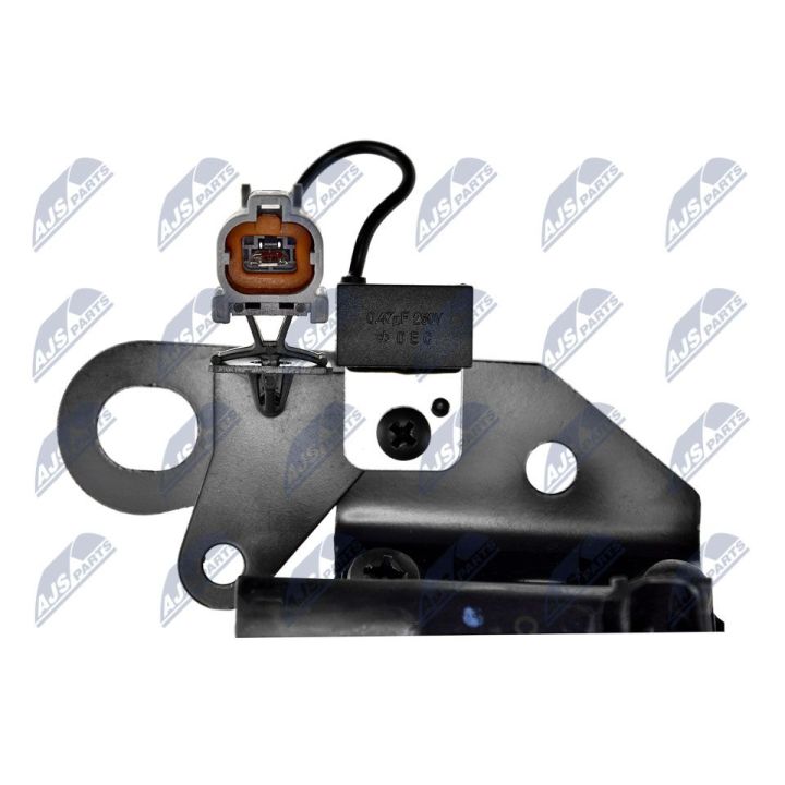 Ritė, uždegimas NTY ECZ-HY-501