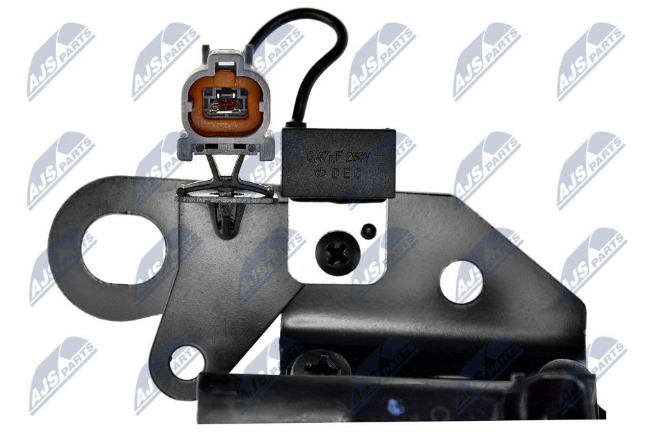 Ritė, uždegimas NTY ECZ-HY-501