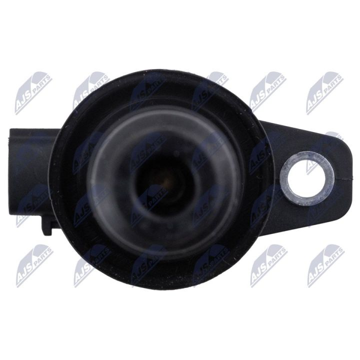 Ritė, uždegimas NTY ECZ-HY-504