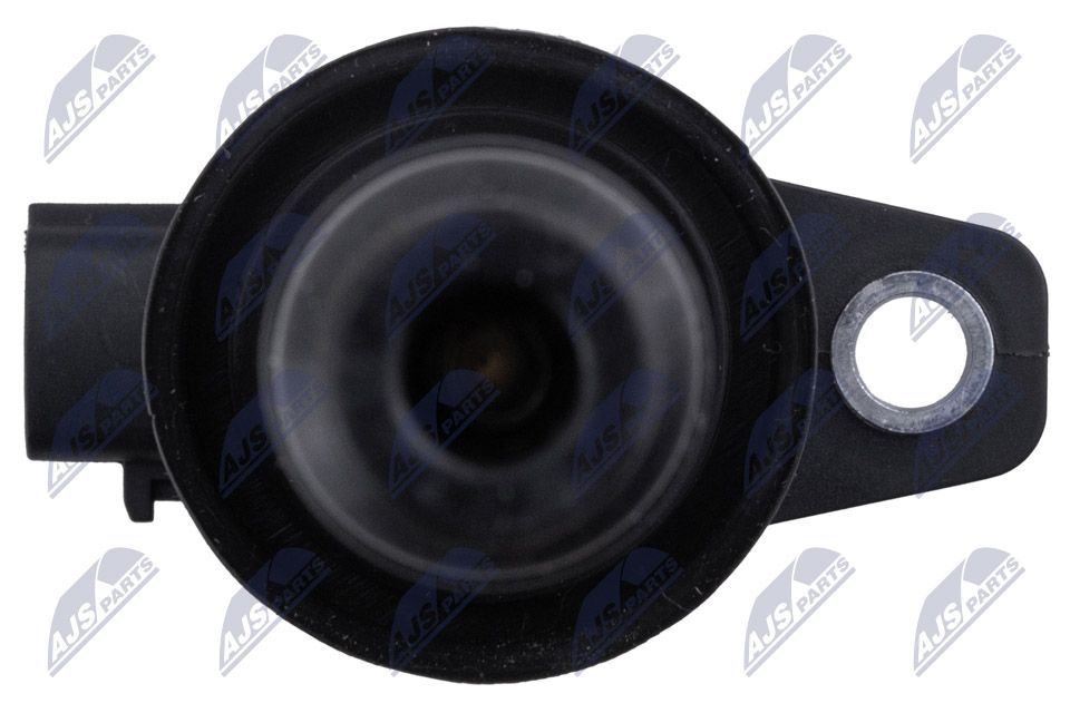 Ritė, uždegimas NTY ECZ-HY-504