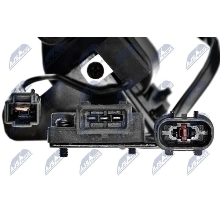 Ritė, uždegimas NTY ECZ-HY-505