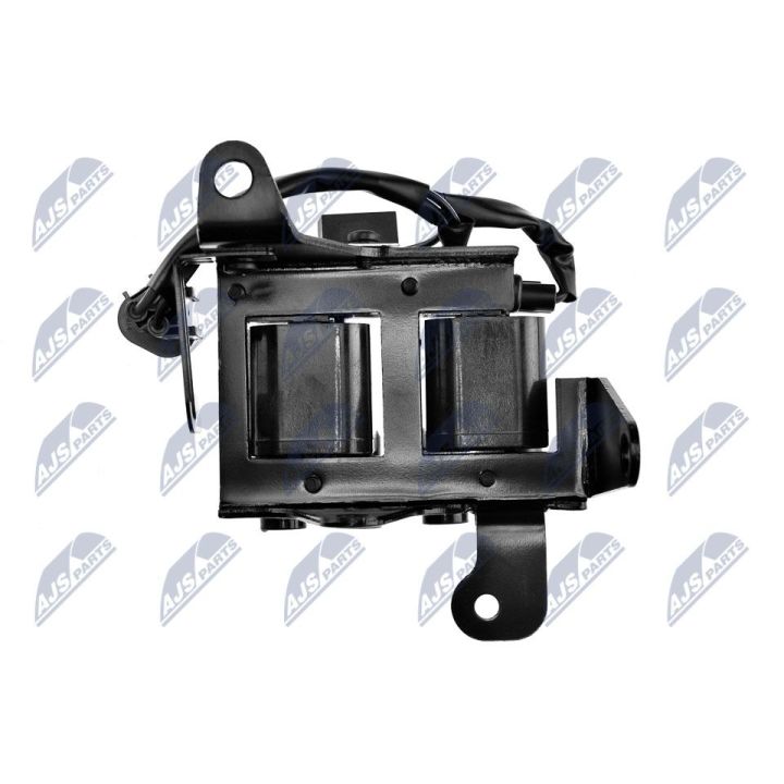 Ritė, uždegimas NTY ECZ-HY-506