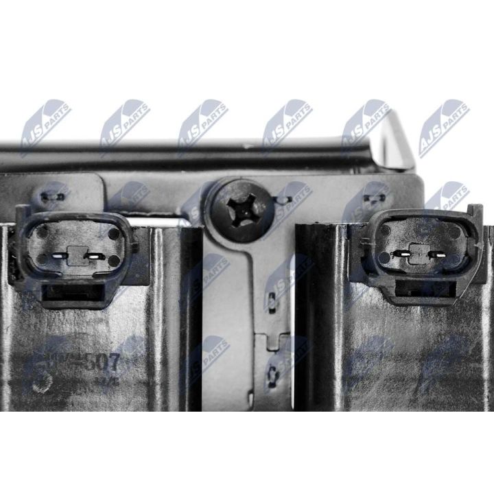 Ritė, uždegimas NTY ECZ-HY-507