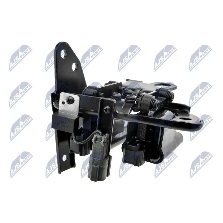 Ritė, uždegimas NTY ECZ-HY-508