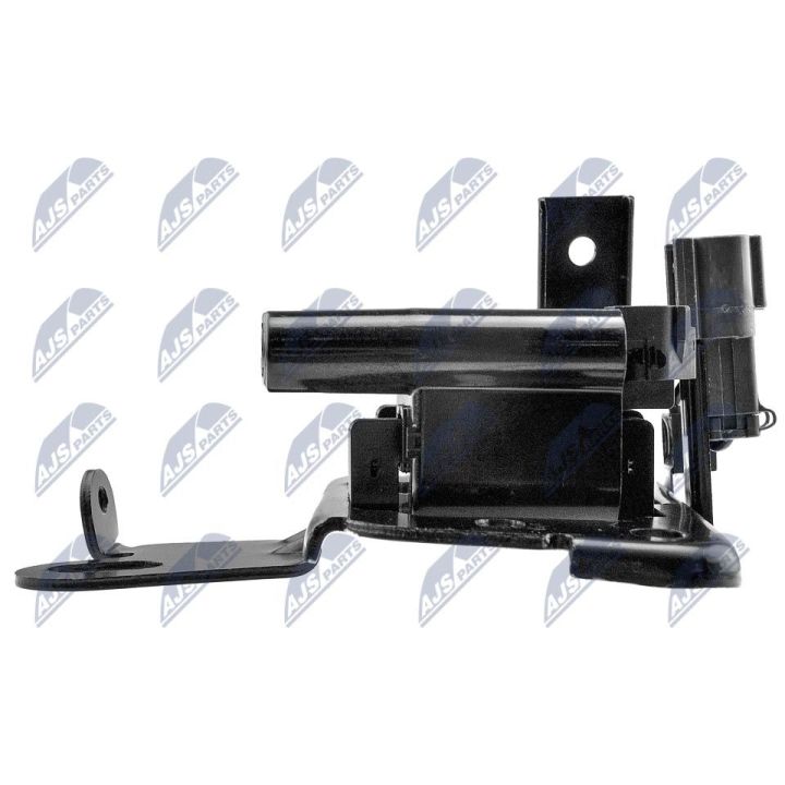 Ritė, uždegimas NTY ECZ-HY-508