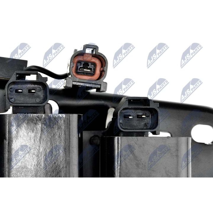 Ritė, uždegimas NTY ECZ-HY-508