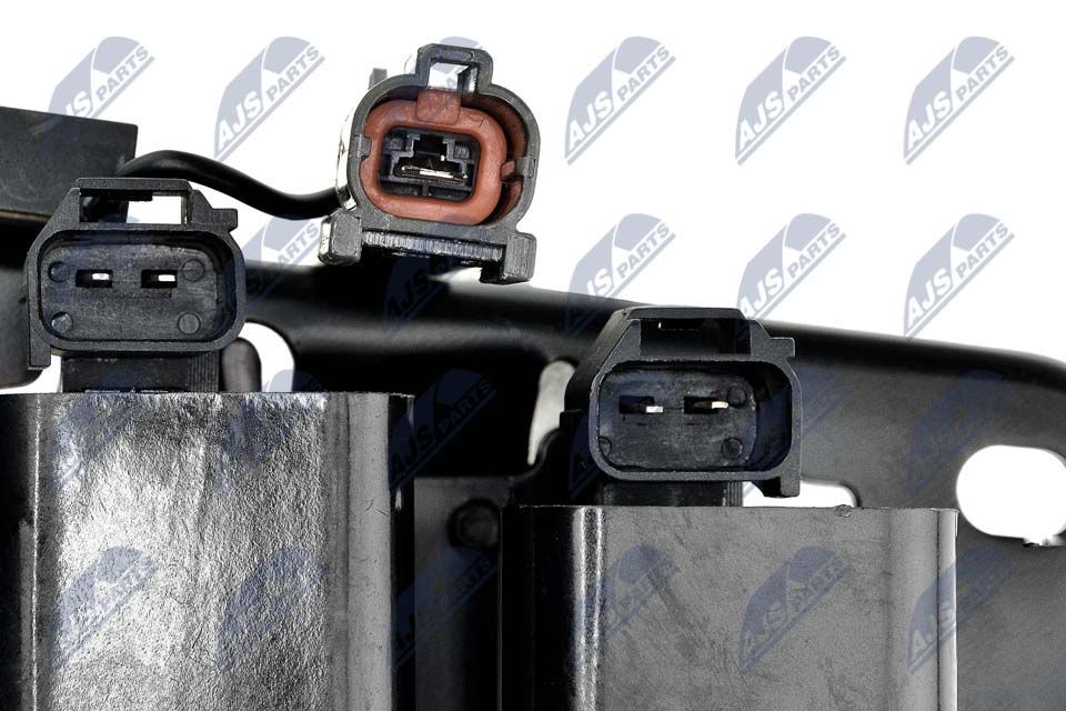 Ritė, uždegimas NTY ECZ-HY-508