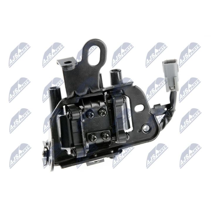 Ritė, uždegimas NTY ECZ-HY-509