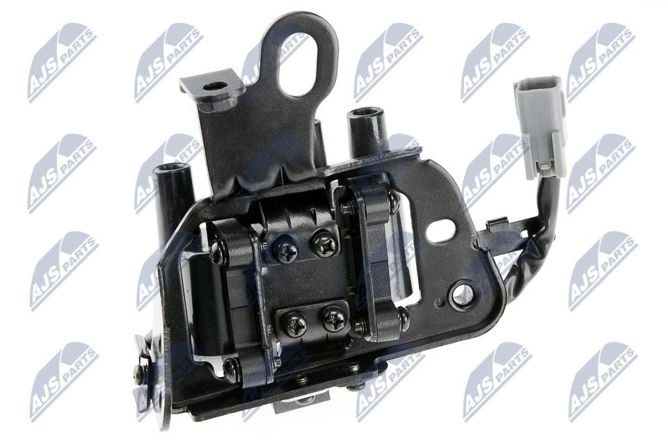 Ritė, uždegimas NTY ECZ-HY-509