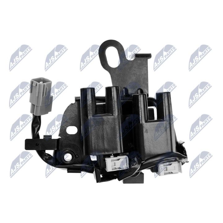 Ritė, uždegimas NTY ECZ-HY-509