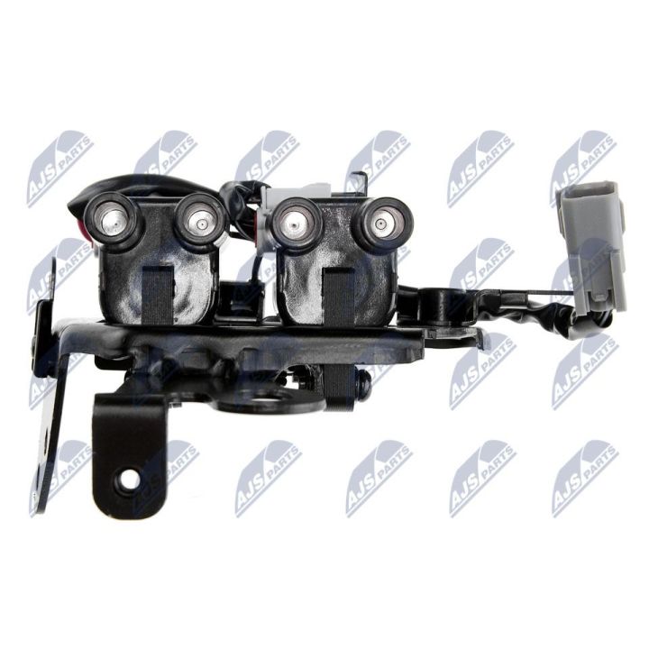 Ritė, uždegimas NTY ECZ-HY-509