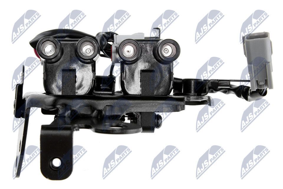 Ritė, uždegimas NTY ECZ-HY-509