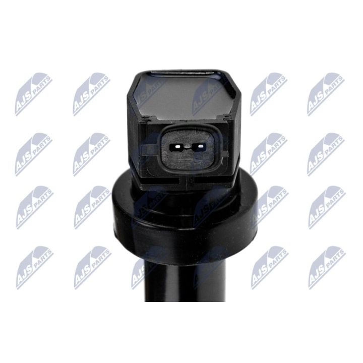 Ritė, uždegimas NTY ECZ-HY-512