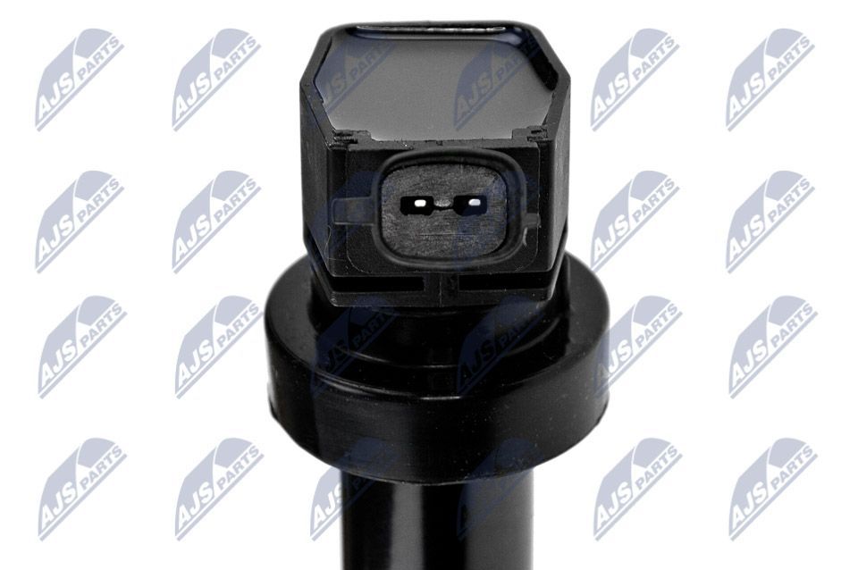 Ritė, uždegimas NTY ECZ-HY-512