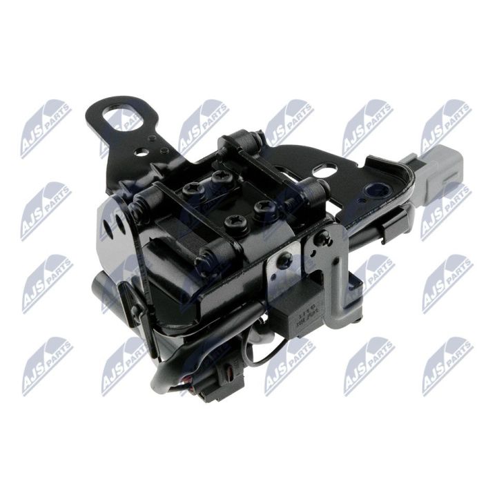 Ritė, uždegimas NTY ECZ-HY-519