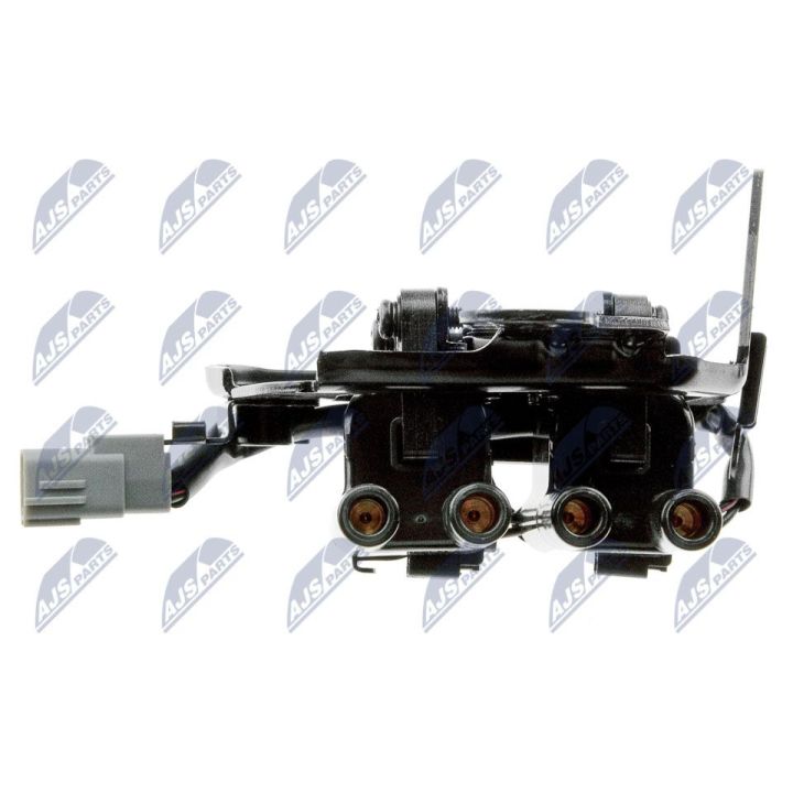 Ritė, uždegimas NTY ECZ-HY-519